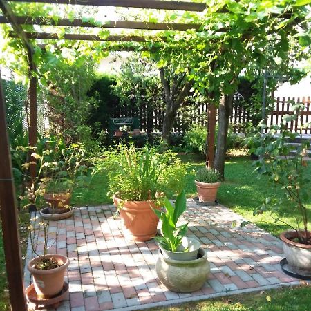 Bed And Breakfast Di Manu Taglio Di Po Ngoại thất bức ảnh
